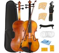 SADPRKR Set di violino per principianti, adatto sia per adulti che per principianti, dotato di custodia rigida, archetto per violino, spalliera, 2 pezzi di colofonia e corde aggiuntive