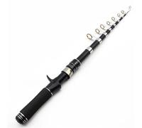 SADPRKR Ultra breve portatile piccola canna da mare multifunzionale in carbonio strizzacervelli percorso sub rod attrezzi da pesca