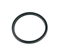 Saeco 11010119 - Guarnizione per filtro, per macchina da caffè automatica MODO MIO RI9575 RI9576 SIN029, anche Philips 996530073492