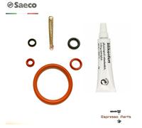 Saeco Odea, Talea, Primea, Xsmall Brew Group Repair Kit & 6g Silicon Grease