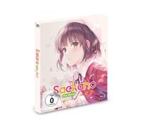 Saekano The Movie: finale