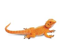 Safari 263129 - Drago Barbuto