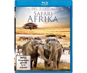 Safari Afrika - Tiere ganz nah