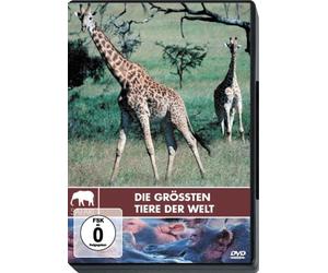 Safari - Die größten Tiere der Welt