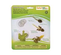 Safari Ltd-269129 (-) (-) Life Cycle of A Frog, Colore, 269129