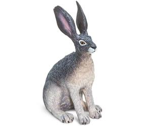 Safari Ltd American Desert Hare