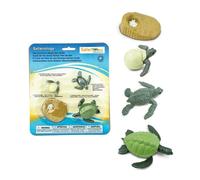 Safari Ltd Ciclo di vita di una tartaruga marina verde