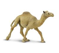 Safari Ltd Dromedary Camel