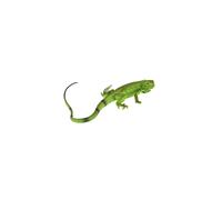 Safari Ltd Iguana Baby in miniatura