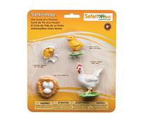 Safari Ltd- Life Cycle of A Chicken, Colore Giallo, Medium, 662816