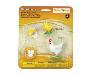 Safari Ltd.- Life Cycle of A Chicken, Colore Giallo, Medium, 662816