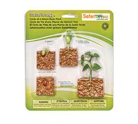 Safari Ltd- Life Cycle of A Green Bean Plant, Colore Bohne, 662416