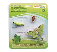 Safari Ltd- Life Cycle of a Luna Moth, 8.97"x 7.02" x 0.82", 663516