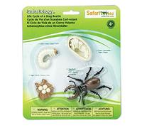 Safari Ltd Life Cycle of a Stag Beetle