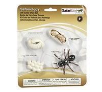 Safari Ltd Life Cycle of An Ant, Colore Bianco, Medio, 663916