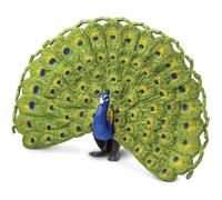 Safari Ltd Peacock