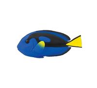 Safari Ltd Pesce Chirurgo Blu 11.3 cm | Animali in Scala per Bambini | Giocattoli per Bambini |Non tossico e privo di BPA | Adatto ai Bambini dai 3 anni