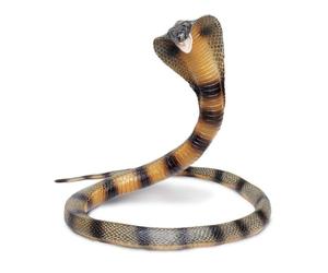 Safari Ltd. Toob 260329 - Cobra a spirale