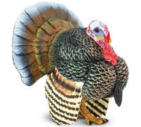 Safari Ltd Turkey