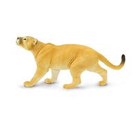 Safari Puma Concolor