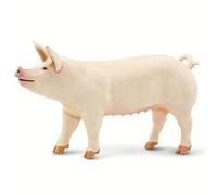 Safari Ltd- Cerdo Blanco Grande Large White Pig, Multicolore, 100269