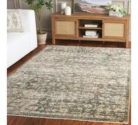 SAFAVIEH Tradizionale Soggiorno, Sala da pranzo, Camera da letto - Hazel, Pila media, Verde/Beige, 160 X 229 cm