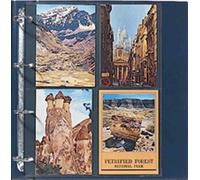 SAFE 5X 5470 - Fogli A4 per Carte postali e autografi - Compatibile con raccoglitori Compact A4 Tasche 150 × 110 mm - Apertura Superiore