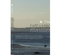Safe Harbor (DVD)