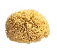 SPUGNA Naturale Grande SAFETY