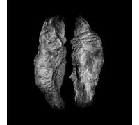 Saffronkeira + Mario - Cause And Effect