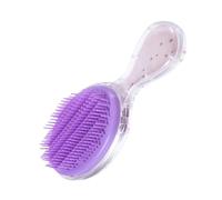 SAFIGLE Spazzola per Capelli per Ragazzo Ragazza Ragazza Trasparente Forma Ellittica Motivi Cartoni Animati Funzione Massaggio Capelluto Districa Nodi Capelli Lunghi Bagnati Asciutti