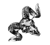 SAFIGLE Spilla Da Bavero a Forma Di Capra in Metallo Argento Per Uomo e Donna, Accessorio Elegante Per Giacche e Cappotti, Regalo Anniversario e Festa, Spilla Bigiotteria Resistente e Versatile