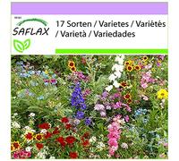 SAFLAX - Adoratori del sole - 1000 semi - 17 Sorten