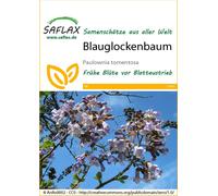 Saflax Albero della Principessa - 1 conf.