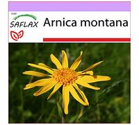 SAFLAX - Arnica - 40 semi - Arnica montana
