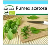 SAFLAX - - BIO - Acetosa - 400 semi - Rumex acetosa