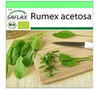 SAFLAX - BIO - Acetosa - 400 semi - Rumex acetosa