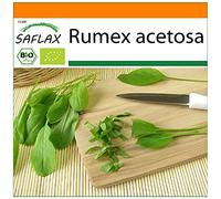 SAFLAX - - BIO - Acetosa - 400 semi - Rumex acetosa