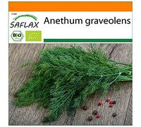 SAFLAX - BIO - Aneto - 700 semi - Anethum graveolens