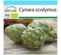 SAFLAX - - BIO - Carciofo - Imperial Star - 5 semi - Cynara scolymus