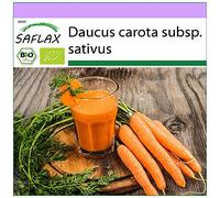 SAFLAX - BIO - Carota - Early Nantes - 1500 semi - Daucus carota subsp. sativus