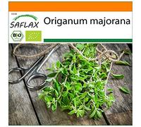 SAFLAX - - BIO - Maggiorana - 700 semi - Origanum majorana