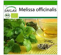 SAFLAX - BIO - Melissa - 1000 semi - Melissa officinalis