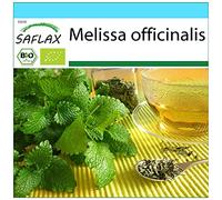 SAFLAX - - BIO - Melissa - 1000 semi - Melissa officinalis