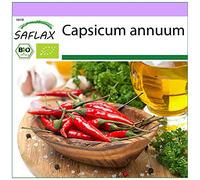SAFLAX - BIO - Peperoncino - De Cayenne Long Slim - 10 semi - Capsicum annuum