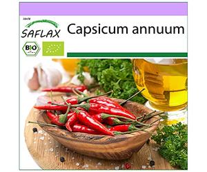 SAFLAX - BIO - Peperoncino - De Cayenne Long Slim - 10 semi - Capsicum annuum