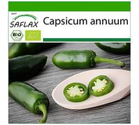 SAFLAX - BIO - Peperoncino - Early Jalapeno - 20 semi - Capsicum annuum