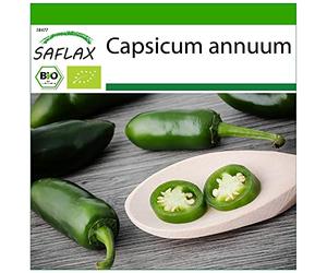 SAFLAX - BIO - Peperoncino - Early Jalapeno - 20 semi - Capsicum annuum