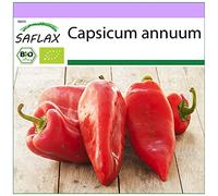 SAFLAX - BIO - Peperone - Long Red Marconi - 20 semi - Capsicum annuum
