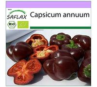 SAFLAX - BIO - Peperone - Sweet Chocolate - 10 semi - Capsicum annuum